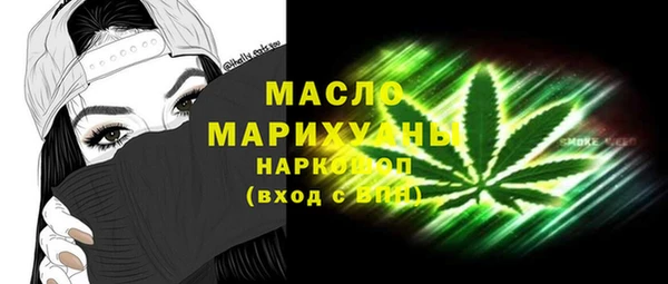 индика Горнозаводск