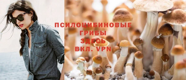 PSILOCYBIN Абинск